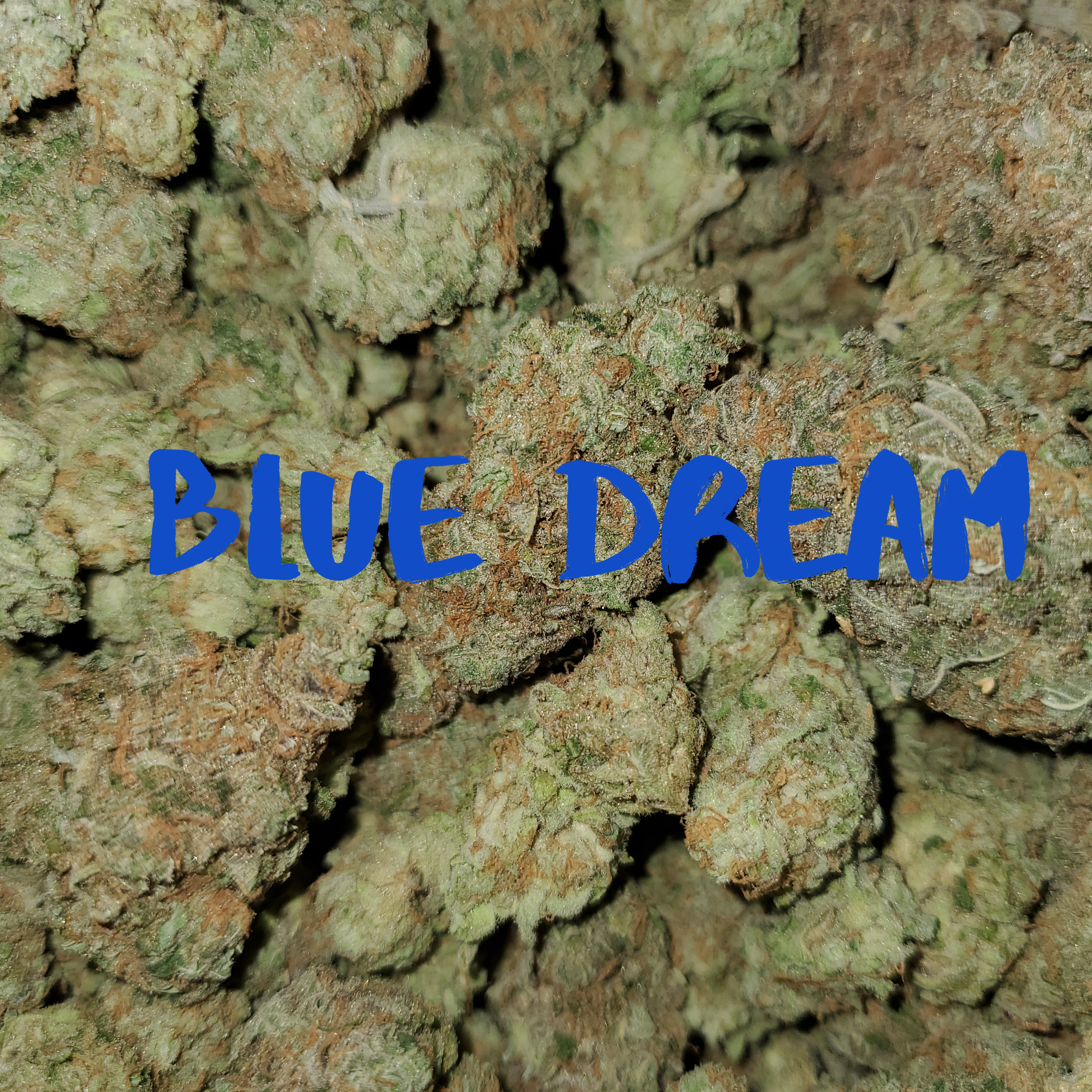 Buy Blue Dream AAA+ Marijuana Online in Canada