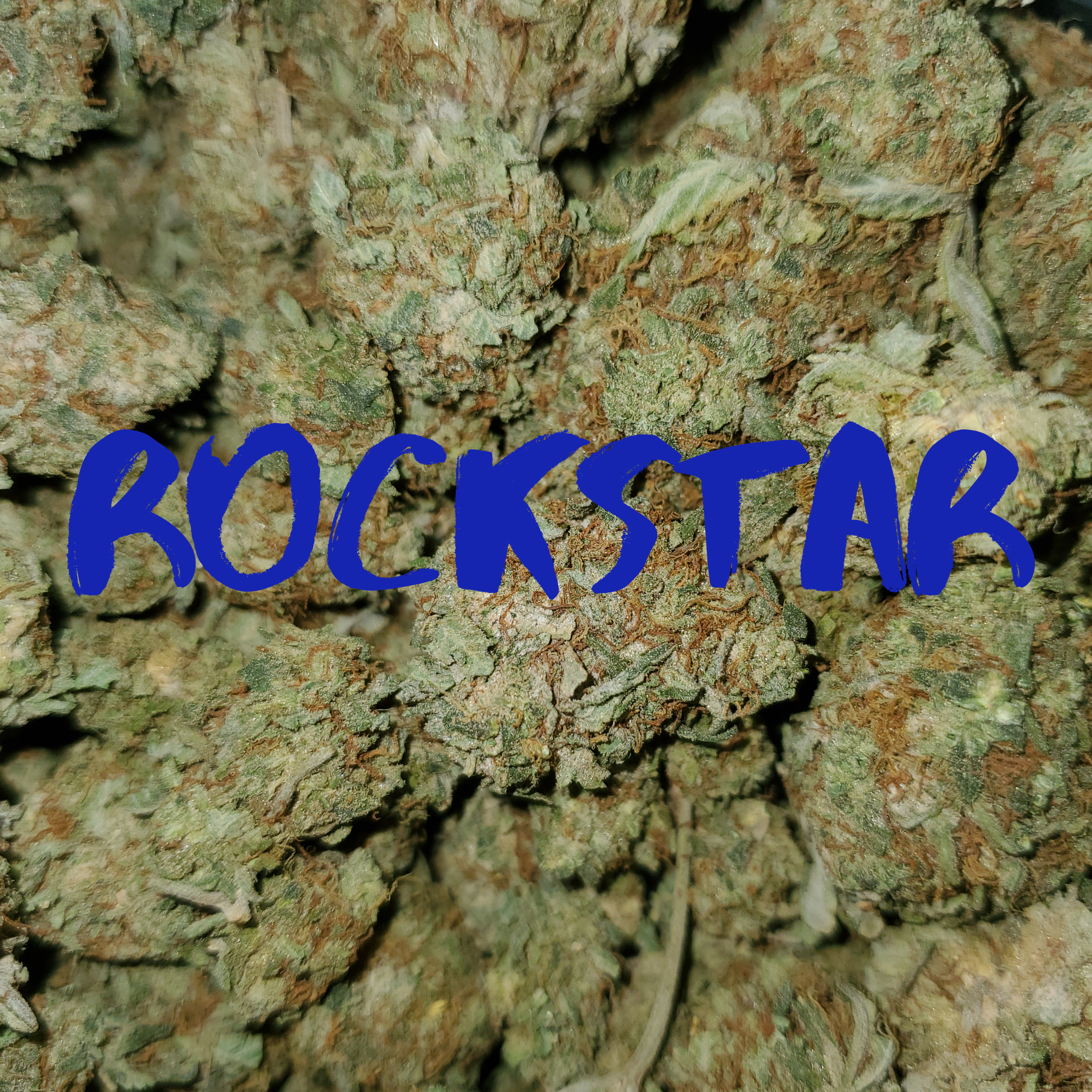 pink rockstar weed strain