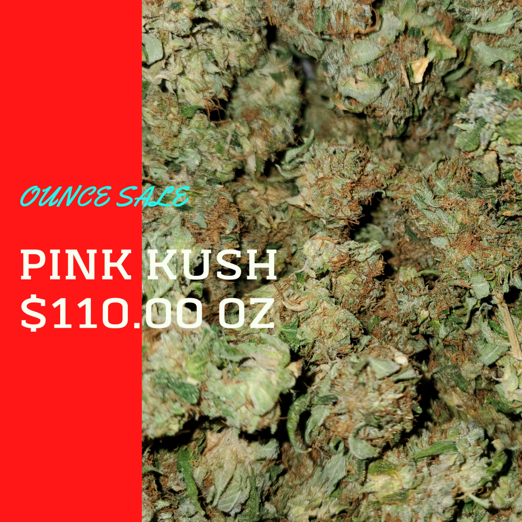 Buy 1 Oz Pink Kush AA (22% THC) Marijuana Online in Canada | Gourmet