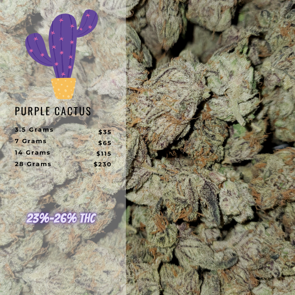 Buy Purple Cactus AAAA+ (26% THC) Cannabis Online in Canada Local Delivery  Available!