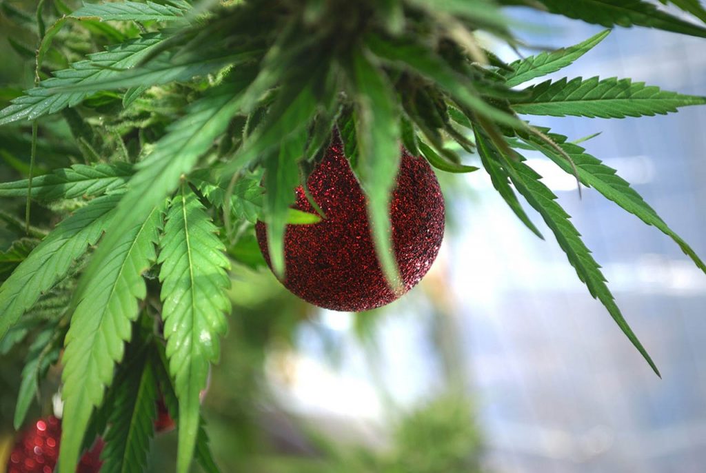 Have a Stoner Christmas