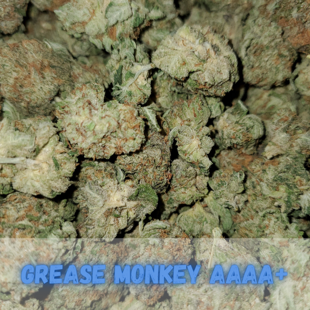 Buy Grease Monkey AAAA+ (27 THC) Cannabis Online in Canada Local