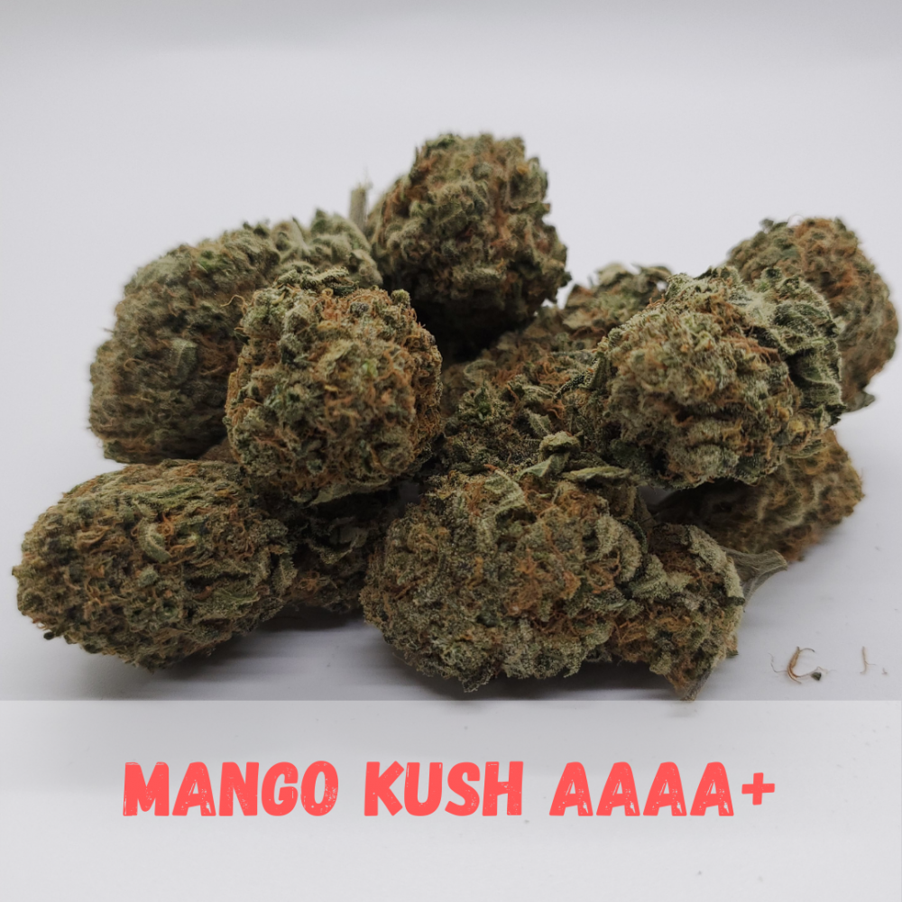 Buy Mango Kush AAAA+ (22 THC) Cannabis Online in Canada Local Delivery