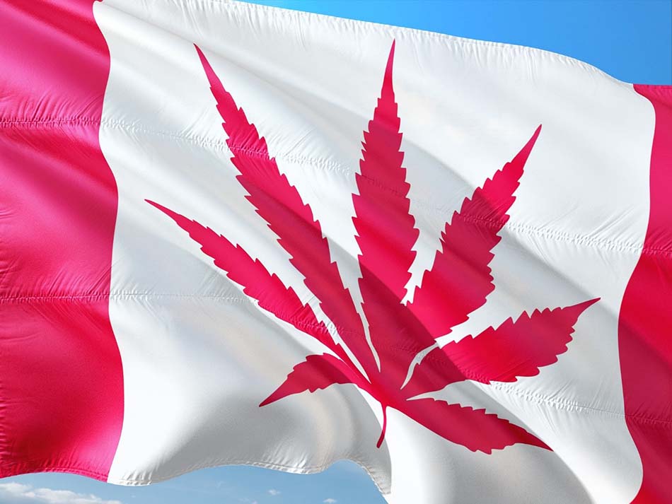 Canada Flag With Pot Leaf