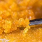 Pure Live Resin