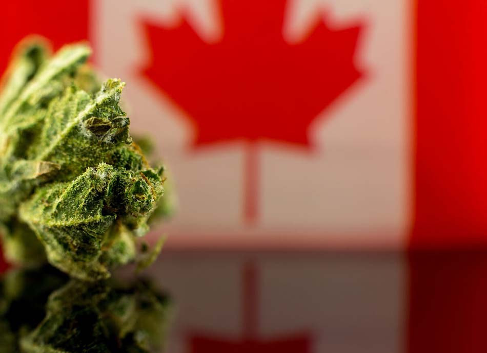 Cannabis Bud with Canada Flag