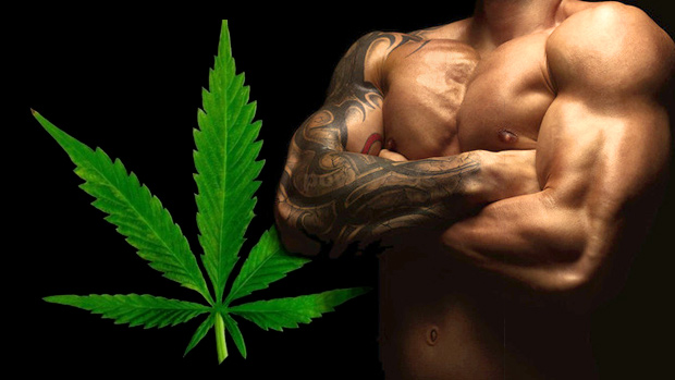 Marijuana for the Gym
