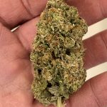 Tom Ford AAAA+ (30% THC) photo review