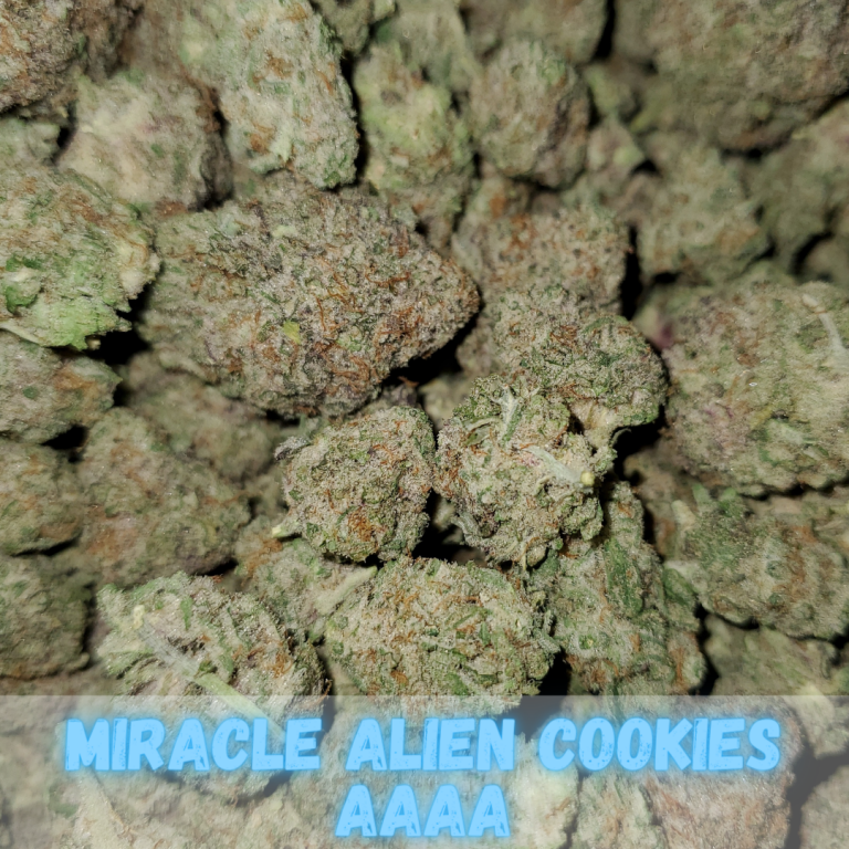 Buy Miracle Alien Cookies AAAA (28 THC) Marijuana Online in Canada