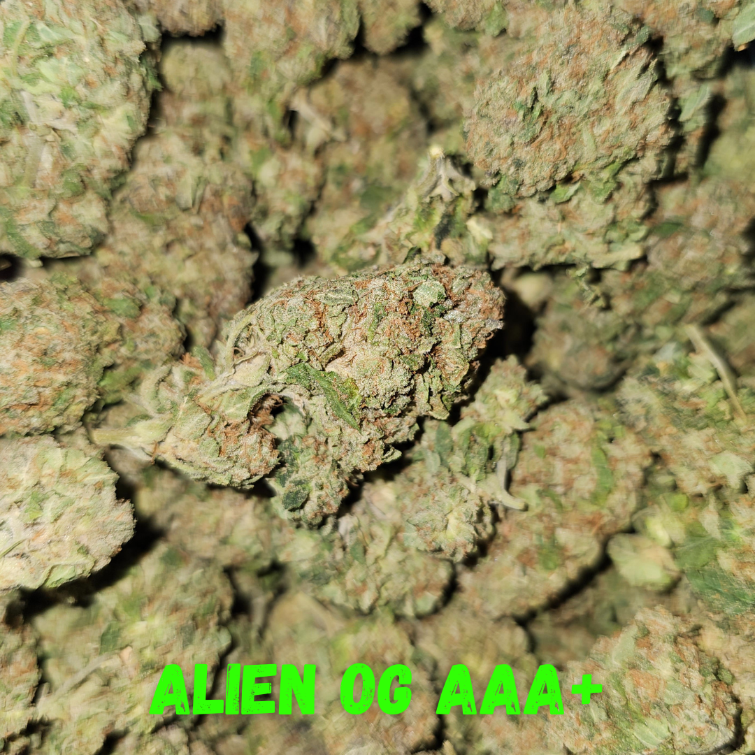 Buy Alien Wedding Cake AA Online | West Coast Cannabis