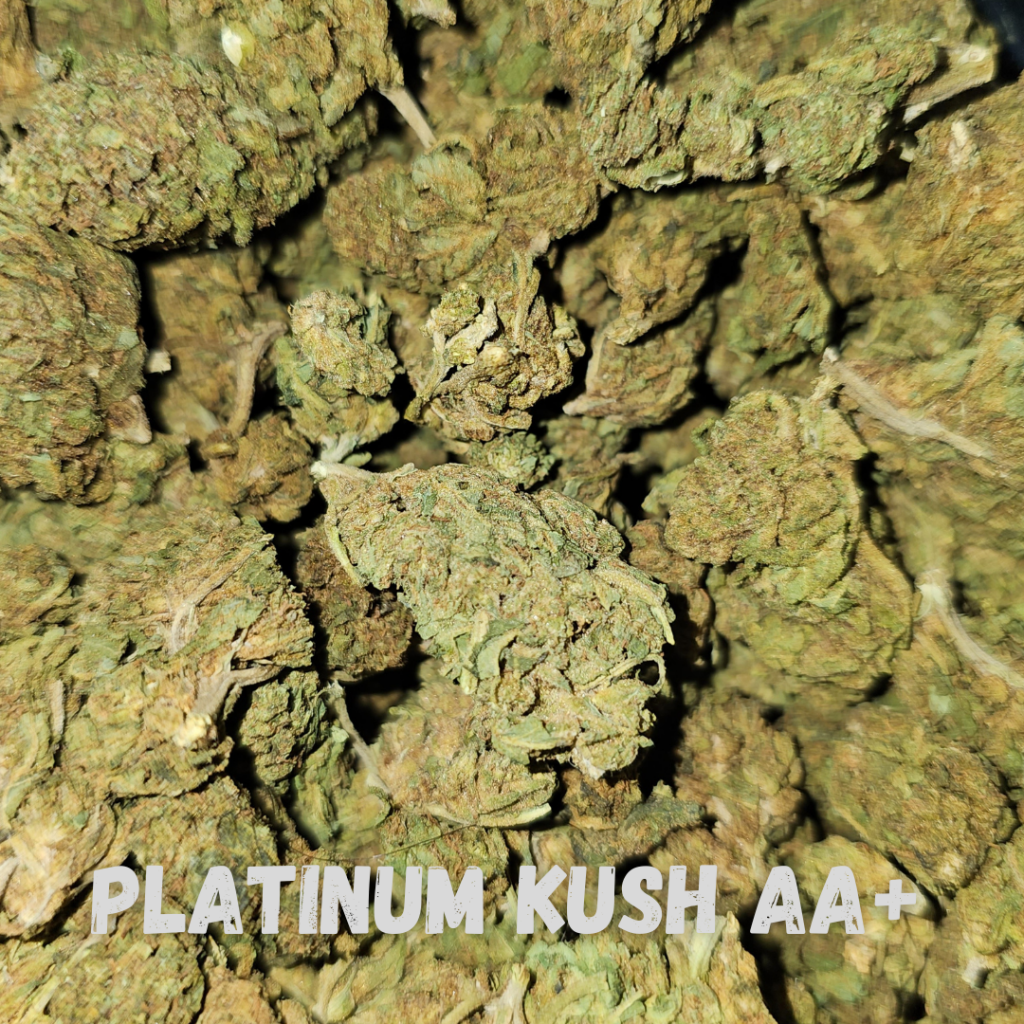 Buy Platinum Kush AA+ 22 THC Indica Cannabis Online in Canada