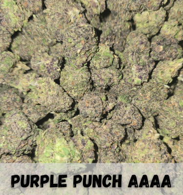 Purple Punch AAAA+ (29% THC)