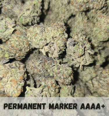 Permanent Marker AAAA+ (31% THC)